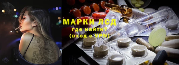 трава Аркадак