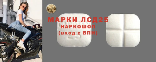 трава Аркадак