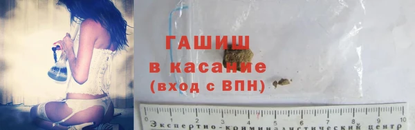 гидра Алзамай