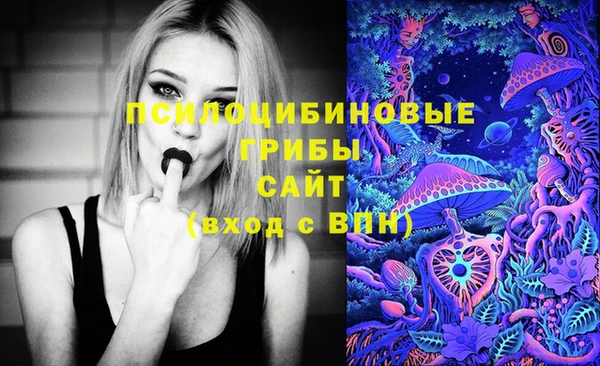 ALPHA PVP Армянск